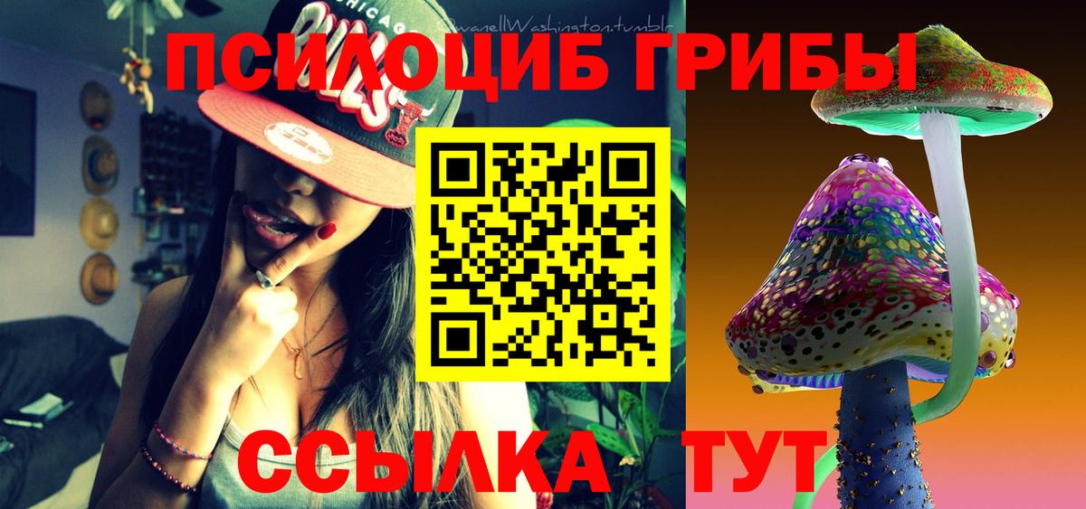 Ржев  Псилоцибиновые грибы мицелий  Вход с VPN 